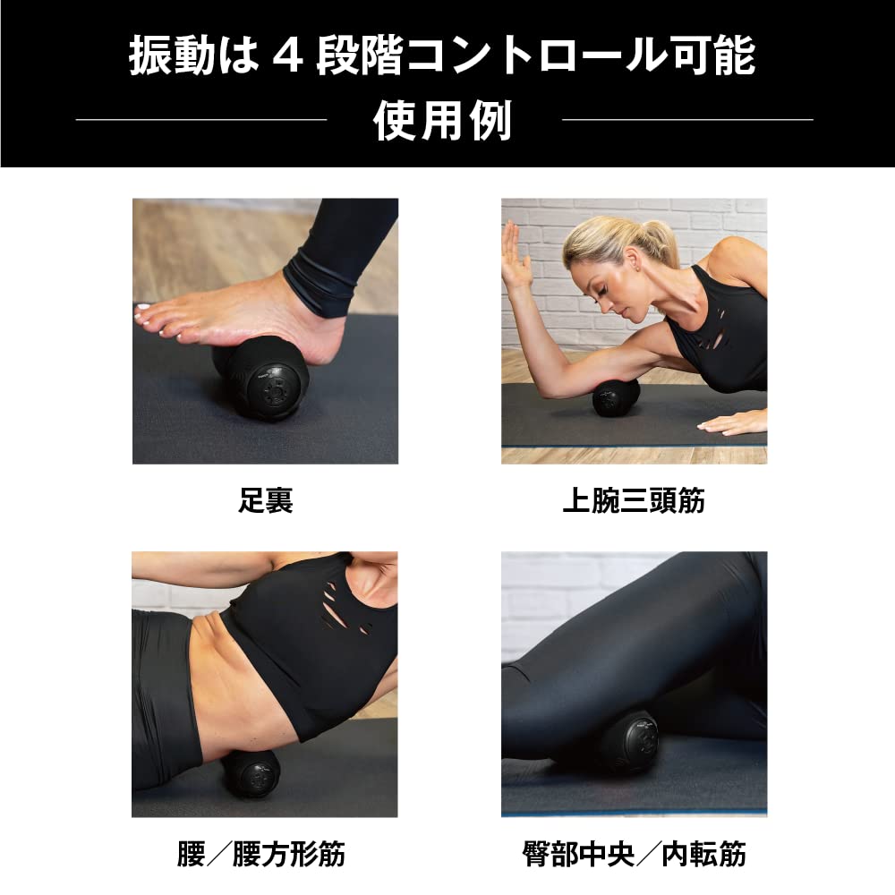 Amazon.co.jp: パワープレート デュアルスフィア | Power Plate